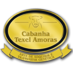 Cabanha Texel Amoras