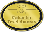 Cabanha Texel Amoras